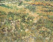 Vincent Van Gogh Meadow in the Garden of Saint-Paul Hospital (nn04) oil painting on canvas